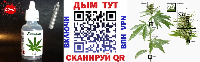 где купить наркотик  Камешково  shop наркотические препараты  Canna-Cookies марихуана 